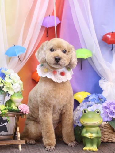 20230613アルトくん